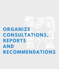 organize consultation