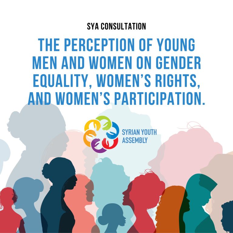 SYA Consultation: The perception of young men and women on gender equality, women’s rights, and women’s participation.